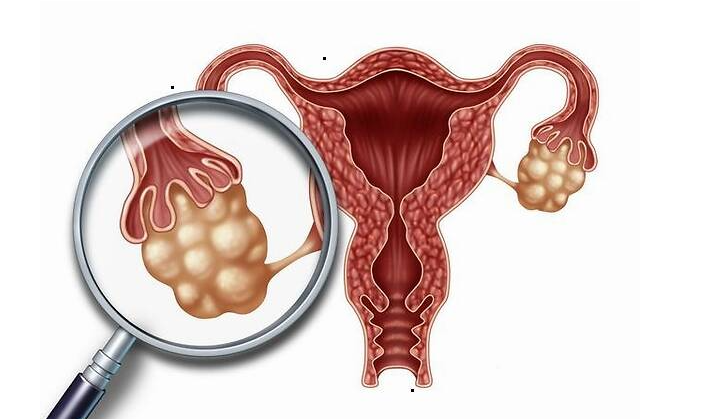 国内怎么供卵, 试管精卵不结合怎么办 试管精卵不结合是什么原因导致的