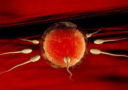 国内代孕机构,预示精子着床的胎梦,晚上做这几种梦多半已成功受孕