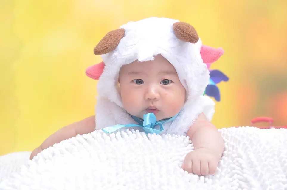 国内供卵公司名单查询,*小放两个胚胎可以提高试管的*率吗