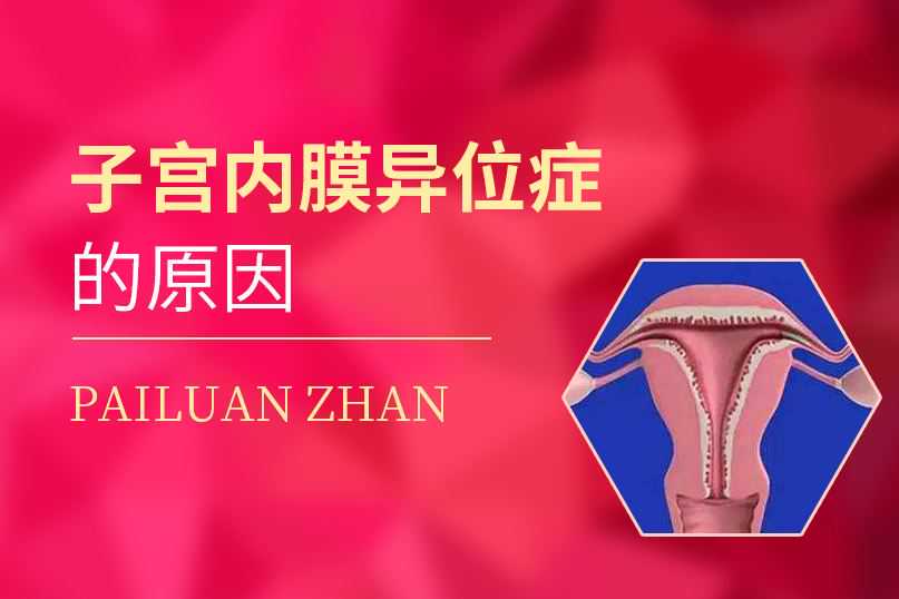 国内供卵试管付款流程,泰国试管婴儿可以选择*看完这个有惊喜