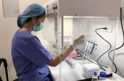 国内医院供卵不排队的原因,导致试管婴儿移植不*的主要原因有哪些