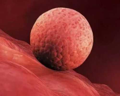 国内哪家医院能代孕,试管婴儿需要几月能完成