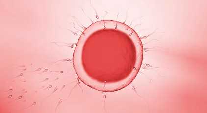 国内可以供卵的三甲医院排名,供精试管*二胎*案例来了 姐妹分享真实经验快来看