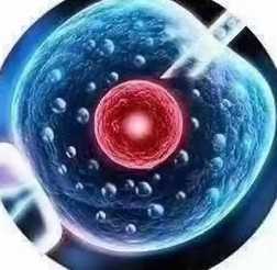 中国正规的供卵机构,高龄备孕 如何提高*三代试管婴儿*率