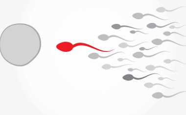 国内医院有没有供卵的,三代试管婴儿胎儿骤停的概率