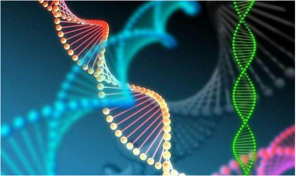 国内代孕中心,做泰国试管婴儿有没有年龄限制呢