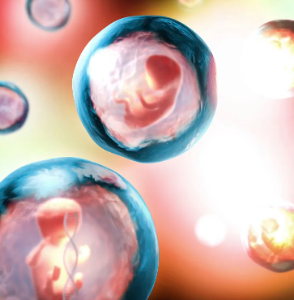 中国代怀供卵机构名单,三代试管为什么冷冻囊胚要在排卵后三天移植？