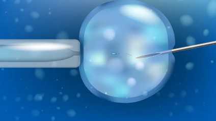 国内供卵试管哪里好一点,三代试管为什么着床*后仍然出现*化妊娠？