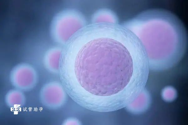 代孕在中国什么价格,马来西亚三代试管婴儿哪家医院做得好