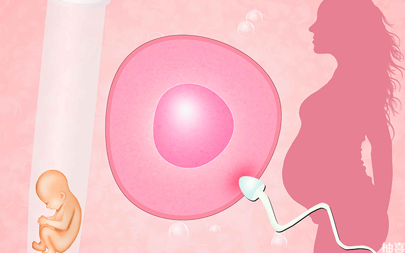 国内正规人工代孕妈妈,三代试管的胚胎活检是哪个阶段的胚胎？会影响*率吗？