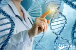 全国哪个医院有供卵,做第一代试管婴儿医*知道婴儿的性别吗