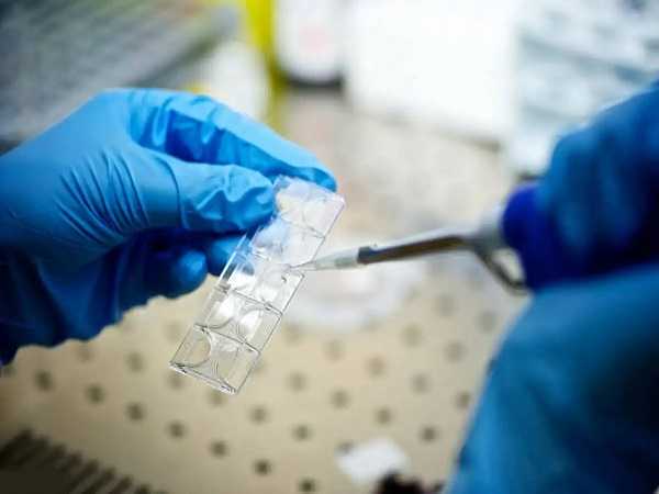 国内有没有供卵试管的医院,试管婴儿胚胎着床*后最早的症状你中了几个