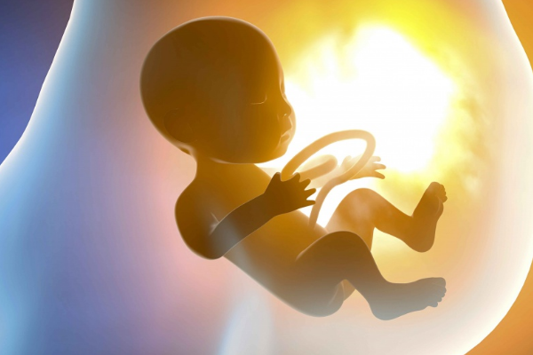 国内靠谱代孕电话,果纳芬打多少天取卵