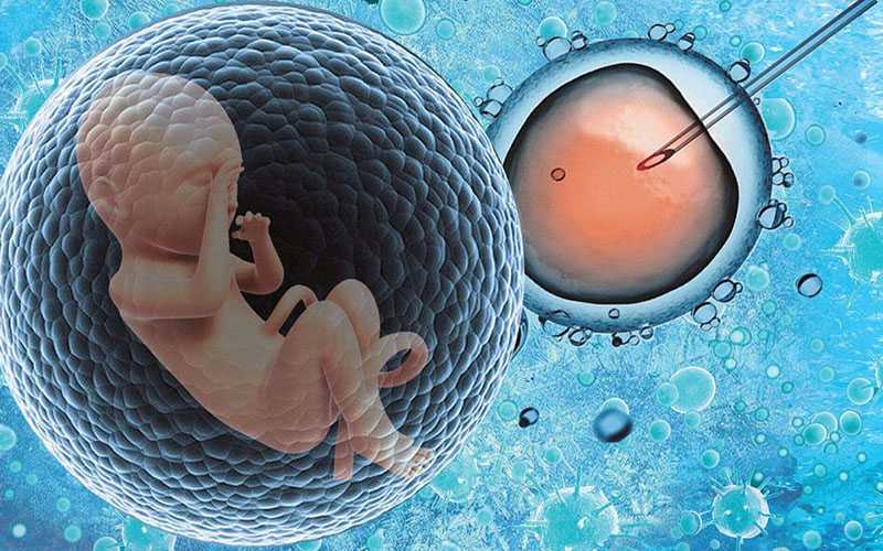 国内最大供卵中心,霍格医院试管婴儿医*盘点(查尔斯、艾利克口碑公认好)