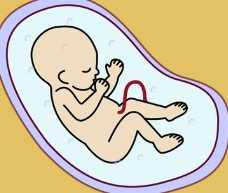 国内最新代怀孕价格表,为什么电脑显示宽带连接但是没有网（电脑如何设置宽带连接）