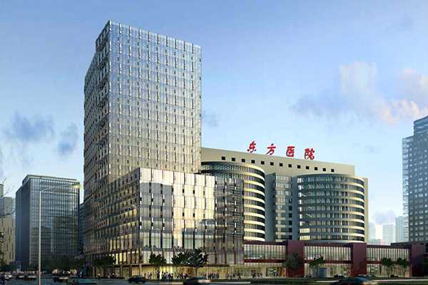 国内的供卵私立医院,囊胚、鲜胚、冻胚哪种的移植*率高