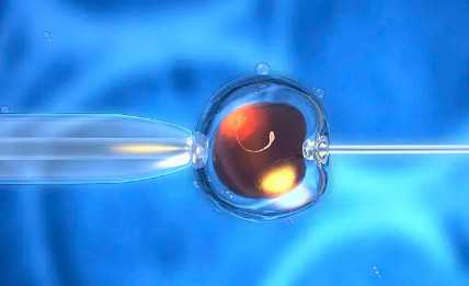 国内代生孩子电话,囊胚才是试管婴儿的起点吗