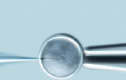 国内地下供卵费用,监测有没有优势卵泡多少钱?200以内可选阴道|腹部B超