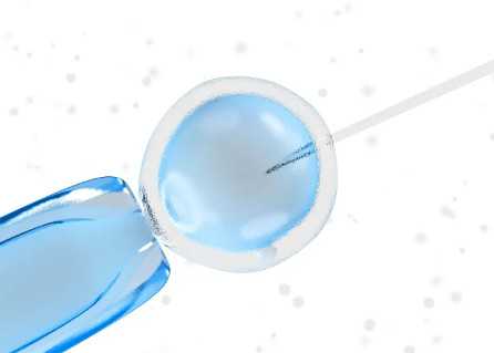 国内供卵医院有哪些好,不止能预防高血压!男性与女性服用精氨酸皆有作用