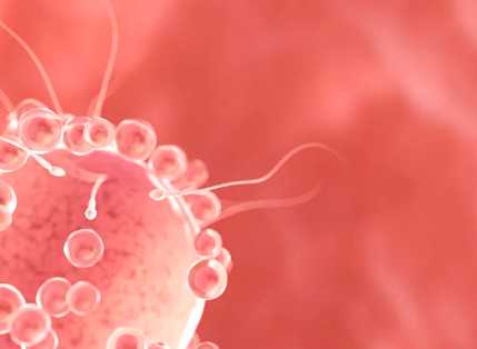 国内供卵试管快不快,除了上户口、上学,宝宝的出生证明还有这7大用途!