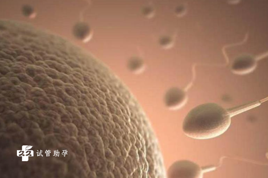 国内正规供卵公司排名,顺产还是剖宫产?看看试管婴儿医生怎么说