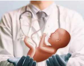 国内供卵试管民营医院有哪些,试管婴儿一男一女花费多少,附费用明细!