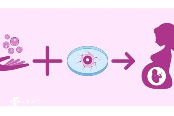 中国捐卵规定,全城的精子库,与世界其他5家看看哪个好