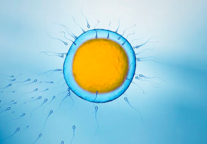 国内代生包男孩,紫朵朵供卵需要多少钱