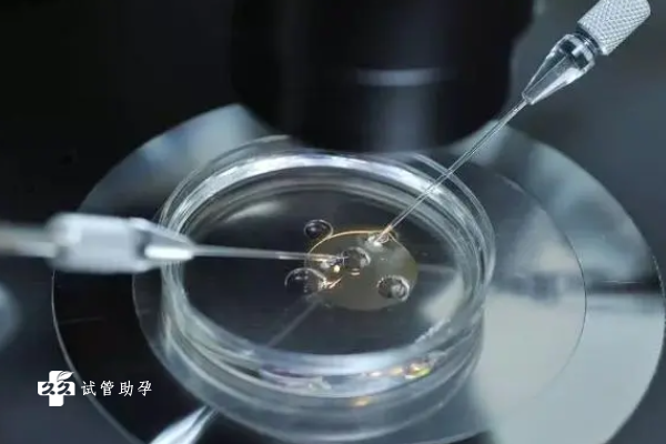 国内私立的供卵机构有哪些,供卵试管婴儿零首付，时事评论ZrpFL吧