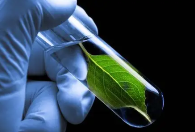 国内供卵代孕的全包费用,武汉同济*殖中心试管婴儿怎么样最新试管成功率和费用情况参考