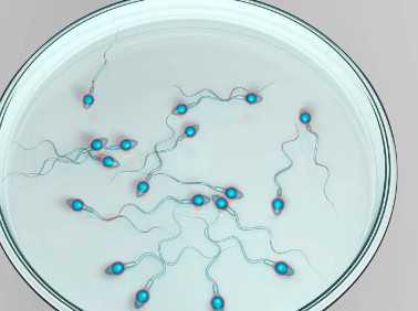 国内供卵代生中心,保胎打瑞白前必知：注射部位和方法大有讲究