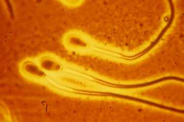 国内代怀孩子,糖耐多少周做最合适-好多人都还不知道
