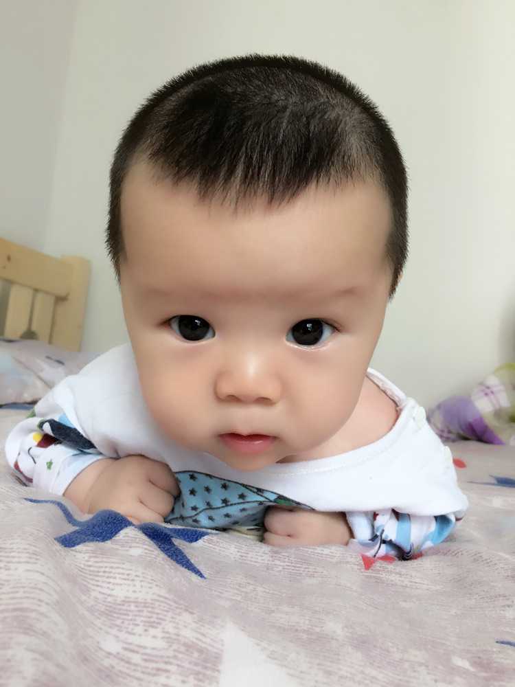 国内哪家机构代怀,从图片上看死精和活精有什么形态和颜色区别吗？这篇就够了