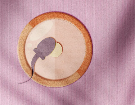 国内供卵试管成功率是多少,含有香兰素的美素佳儿奶粉好不好