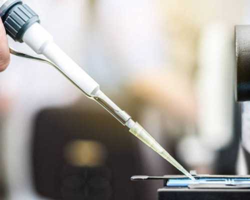 国内代孕价钱,三代试管出现了5号染色体缺失的嵌合体胚胎适合移植吗?看这篇就够了