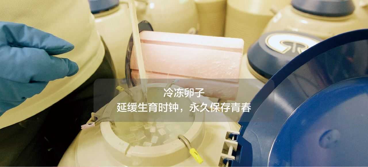 国内可以做供卵的医院有哪些,试管短方案的成功率有多高，试管短方案的成功率和优势概述