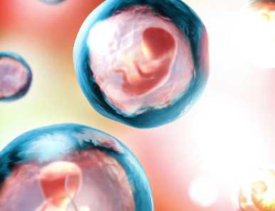 国内借卵试管代生,选择奶粉之前这些功课要做好否则白花钱不说还有可能害了宝宝