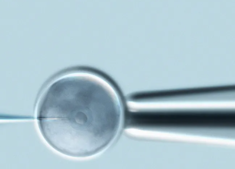 国内找代生多少钱,柬埔寨金边第一试管婴儿诊所试管成功率高吗，金边第一试管婴儿中心的优势详解