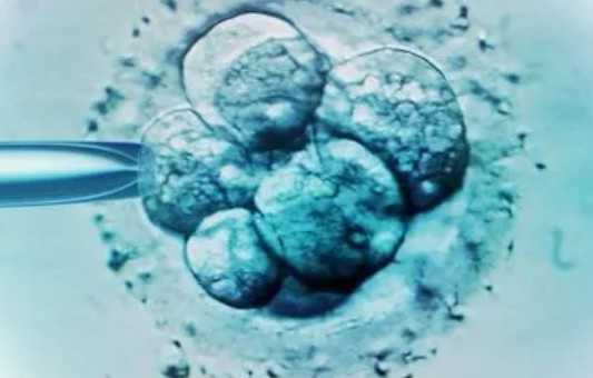 国内供卵试管做几代,自存脐带血热门问题答疑 分6个详细步骤可快人一步