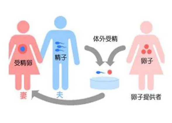 中国代孕哪里比较好,试管婴儿前期检查都有啥？试管婴儿的前期检查有什么？