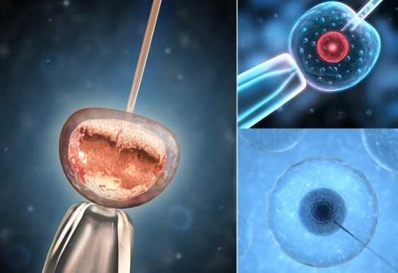 国内做供卵试管婴儿的公司,剖腹产多久可以吃饭 剖腹产为什么在麻醉前不能喝水