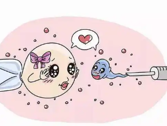 国内供精供卵费用多少,我想在浙江做三代试管生一个孩子多少钱？浙江三助孕明细一览